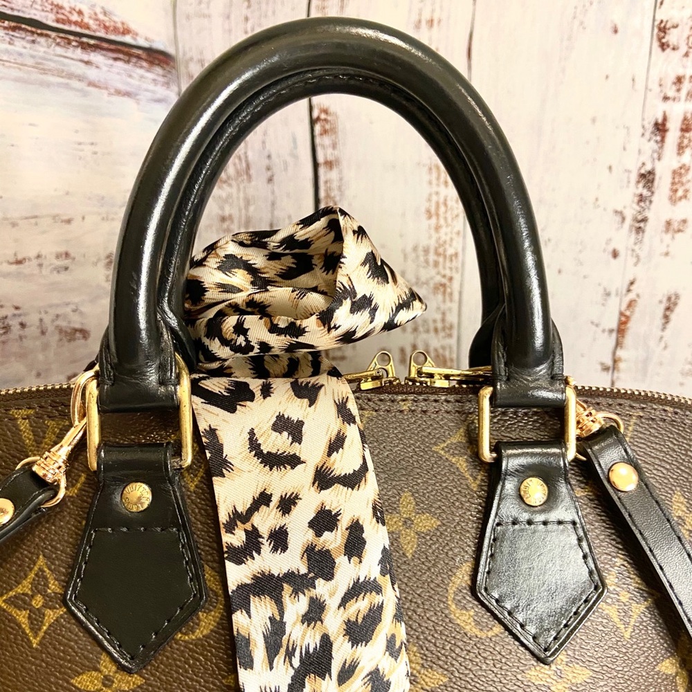 Louis Vuitton Alma PM Custom *FIRM* - Picture 7 of 11